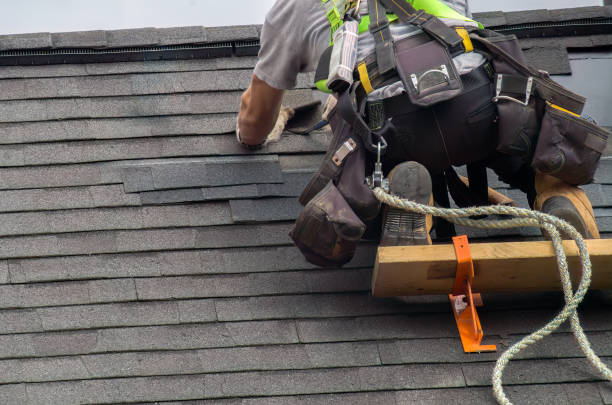 Roof Repair Estimates in La Plata, MO