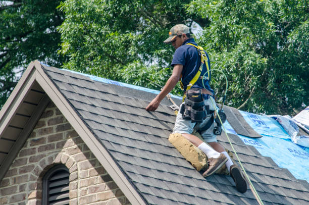 Best Residential Roofing Contractor  in La Plata, MO